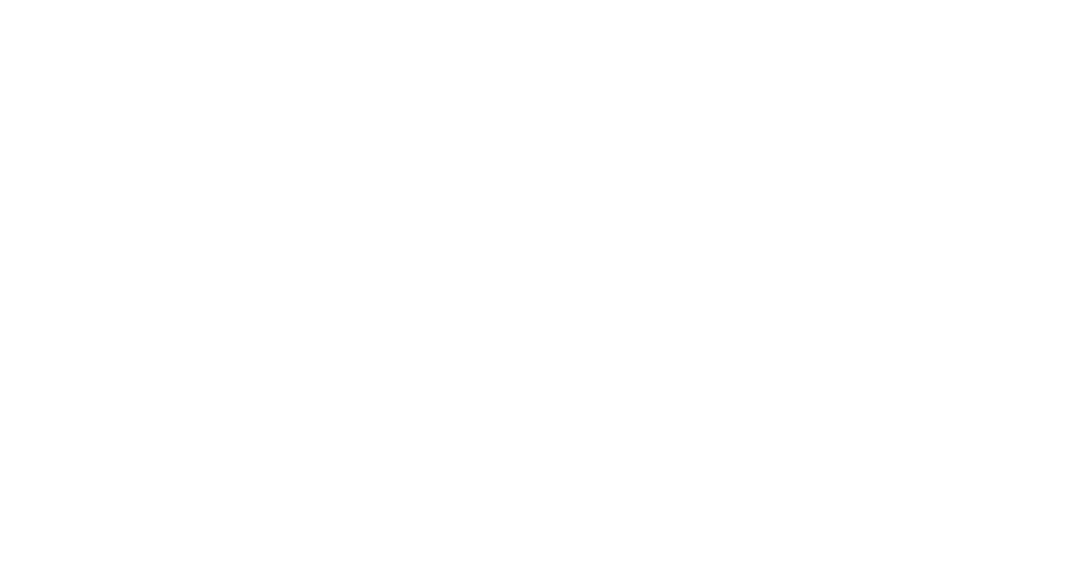 TrueDream Educational Consultancy